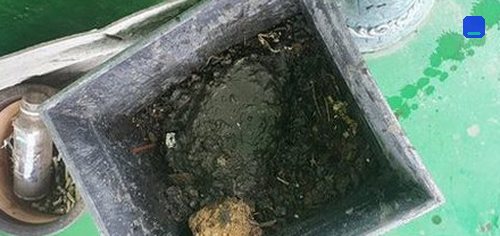 청주시 서원구 · 통화 상담 이용 고객 글 사진