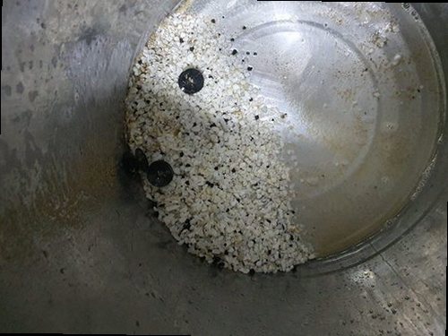 청주시 서원구 사직2동 하수구막힘 배수 상태와 배관 연결부를 살펴보는 현장 점검 모습